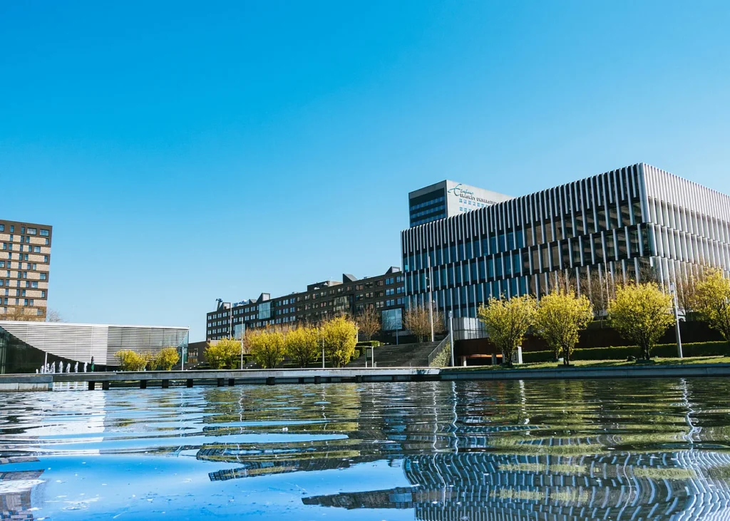 Rotterdam School of Management (RSM)